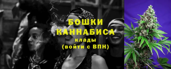 индика Киренск