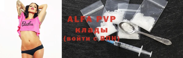 индика Киренск