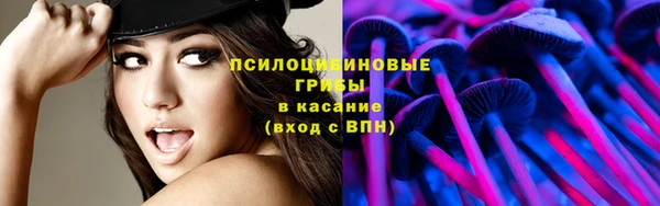 гашик Кинешма