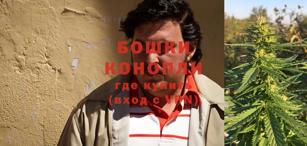 индика Киренск