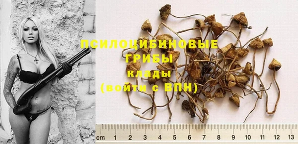 гашик Кинешма
