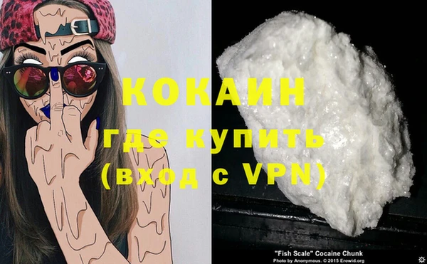 тгк Каменка
