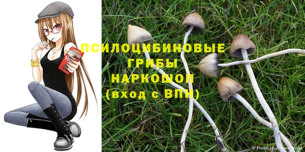 гашик Кинешма