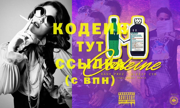тгк Каменка