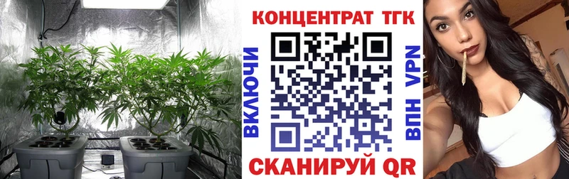 ТГК концентрат Кашира