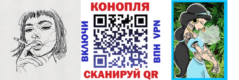 купить закладку  Кашира  Бошки марихуана планчик 