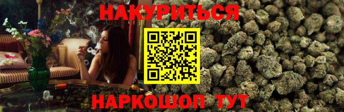 МЕФ Кашира